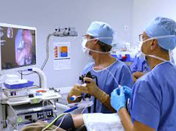 Chirurgie de la sleeve gastroplastie endoscopique à la Clinique du Palais